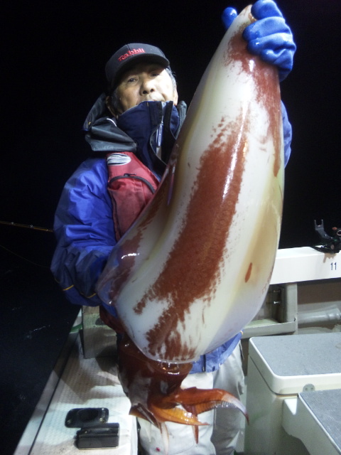 18日半夜便 タルイカ 舘氏ら 福井県 敦賀 釣り船 泰丸 18日半夜便 タルイカ 舘氏ら 福井県 敦賀 釣り船 泰丸