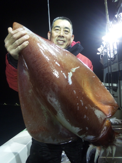 18日半夜便 タルイカ 舘氏ら 福井県 敦賀 釣り船 泰丸 18日半夜便 タルイカ 舘氏ら 福井県 敦賀 釣り船 泰丸