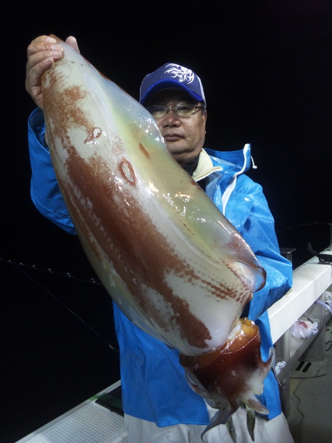 18日半夜便 タルイカ 舘氏ら 福井県 敦賀 釣り船 泰丸 18日半夜便 タルイカ 舘氏ら 福井県 敦賀 釣り船 泰丸